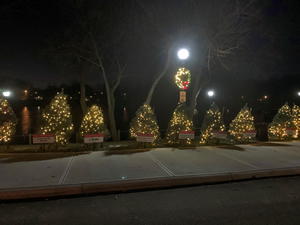 2021 Coe Lake Christmas Tree Project image 